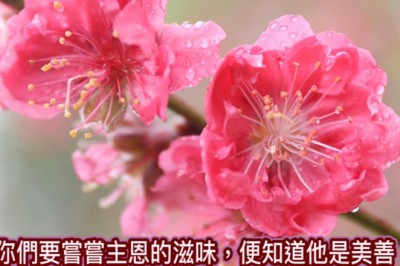 祝大家新春蒙福